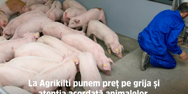 ferma grikilti - foto Fb agrikilti