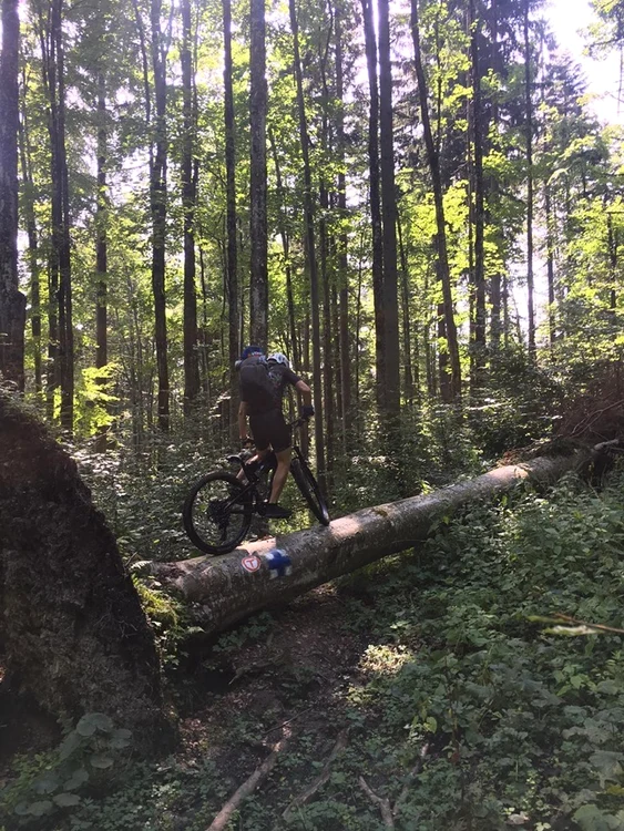 20 nicolae al romaniei tur pe bicicleta traseu via transilvanica cu levente ianosi 11 jpg jpeg