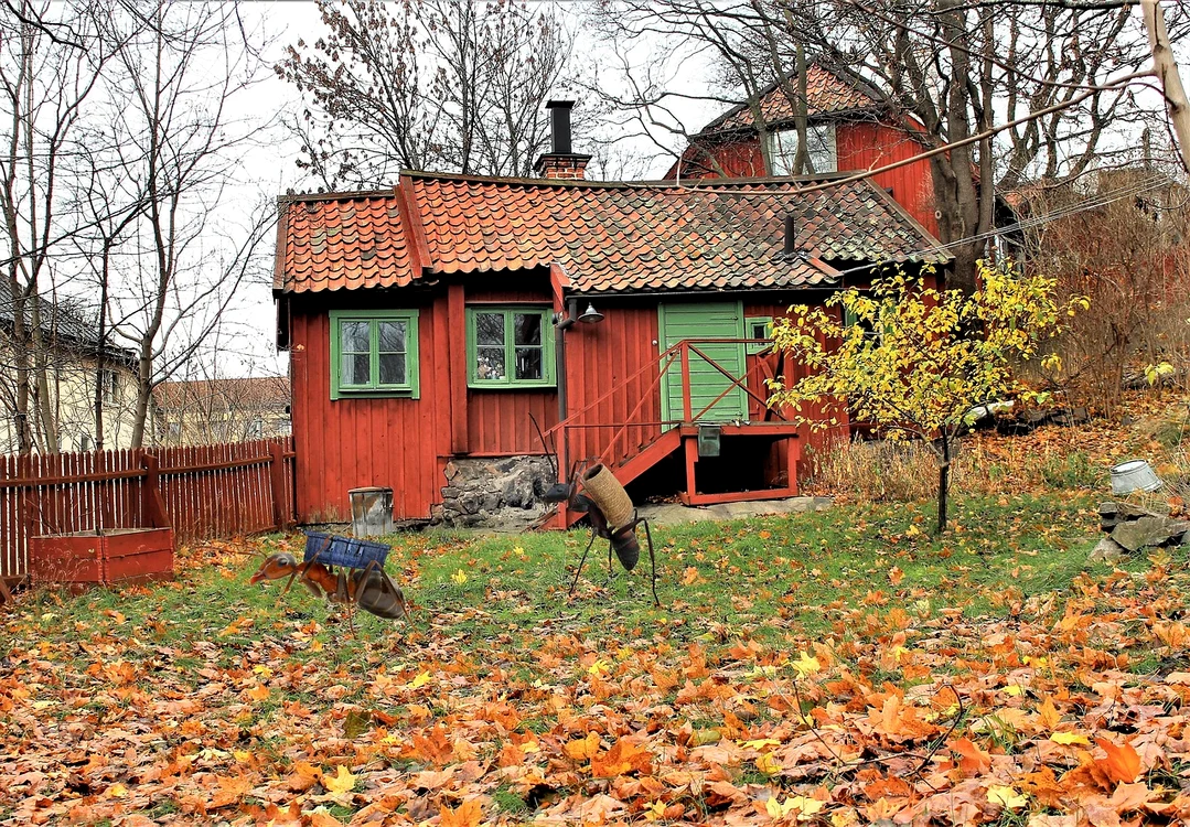 Se schimbă legea pentru românii care stau la curte / foto: Pixabay