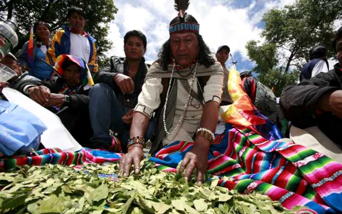 Bolivia este în prezent al treilea producător de cocaină din lume. FOTO Reuters