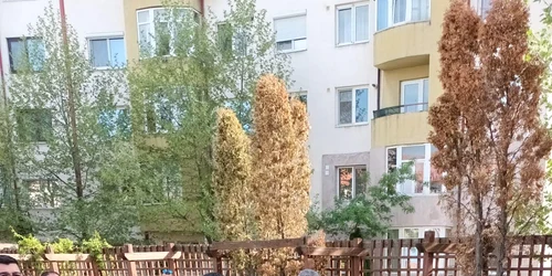 locuitori ai celui mai nou cartier din Slatina Eugen ionescu jpg
