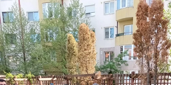 locuitori ai celui mai nou cartier din Slatina Eugen ionescu jpg
