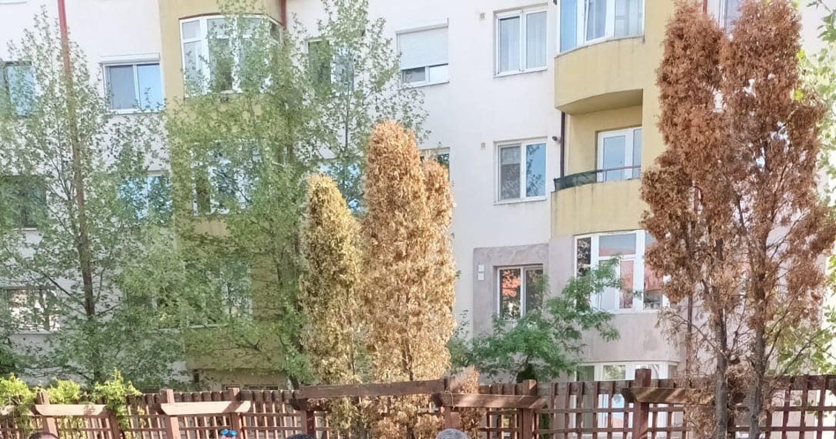 Primăria Slatina expropriează pentru proiect nou în cartierul de blocuri. Ce se va construi?