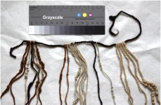 human hair khipus 1 webp