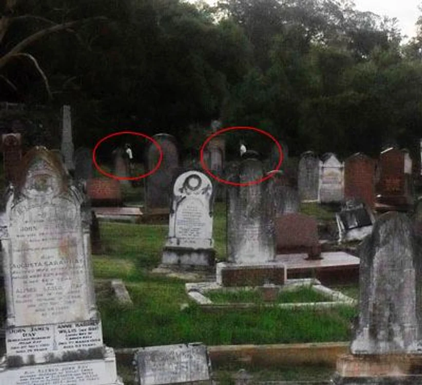 Imaginea a fost realizată pe 9 ianuarie de către Renee English (sursa heraldsun.com.au)