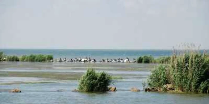 Pentru cele trei mari proiecte din Delta Dunării, ABADL a alocat fonduri de peste 36.700.000