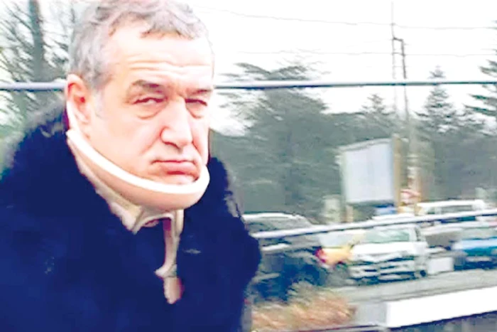 
    Gigi se află închis  la Penitenciarul Poarta Albă, iar la ultima înfăţişare a ieşit cu un guler cervical  