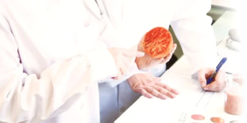Adevărul despre alimentele modificate genetic