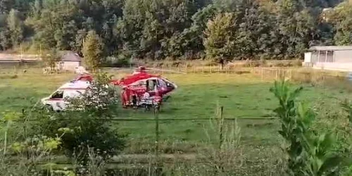 5f2ee6235163ec4271c9f534 jpg