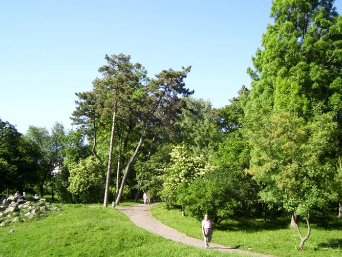 Parcul Botanic este folosit de timişoreni pentru recreaţie, sport şi relaxare