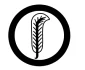 SymbolPlant jpeg