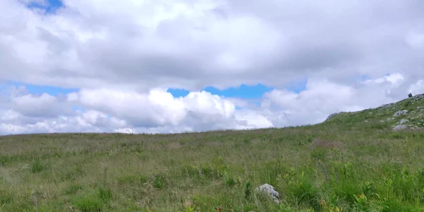 61854ab55163ec427135946c jpg