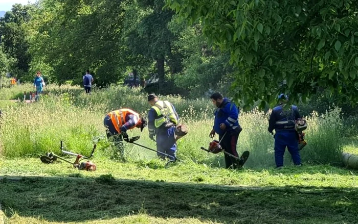 Munca de sezonier  la zone verzi nu mai are căutare. Foto: ARhivă. Primăria Hunedoara