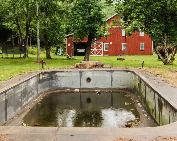 Capcana casei abandonate: ce a pățit o familie după ce a cumpărat-o. Piscina era infestată cu șerpi, iar renovarea a ajuns să coste peste 300.000 de dolari