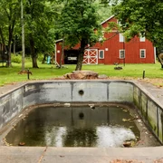 pool into garden8 61926 831098090ca74590bad9d9cd2bda24a2 webp