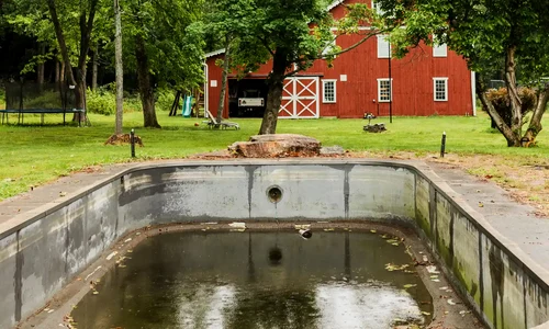 pool into garden8 61926 831098090ca74590bad9d9cd2bda24a2 webp