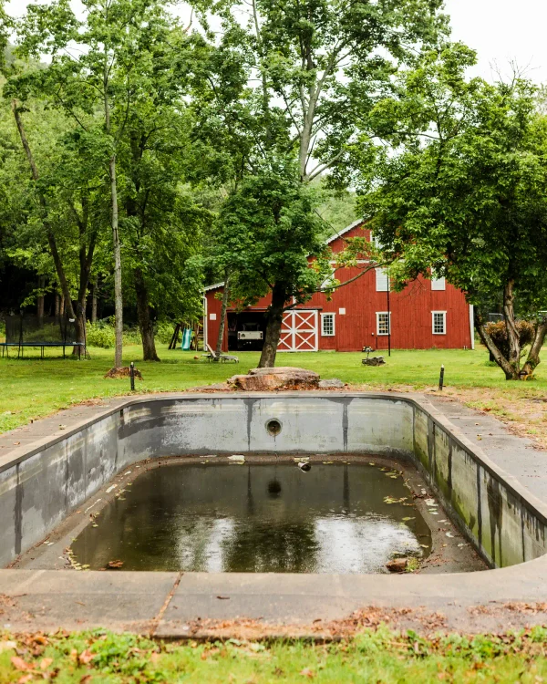 Piscina era infestată