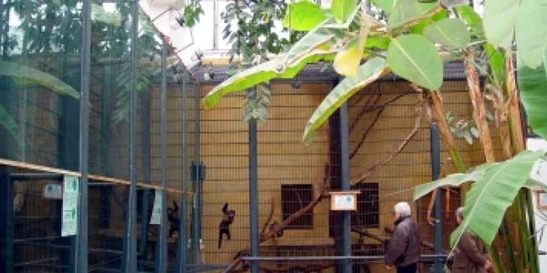 Târgu-Mureş: Zoo Târgu Mureş