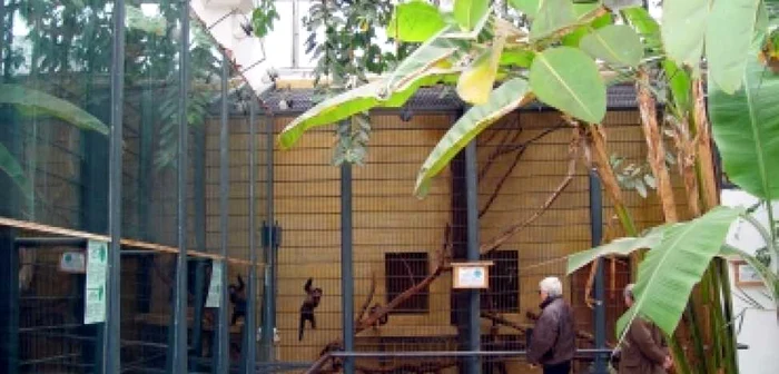 Târgu-Mureş: Zoo Târgu Mureş