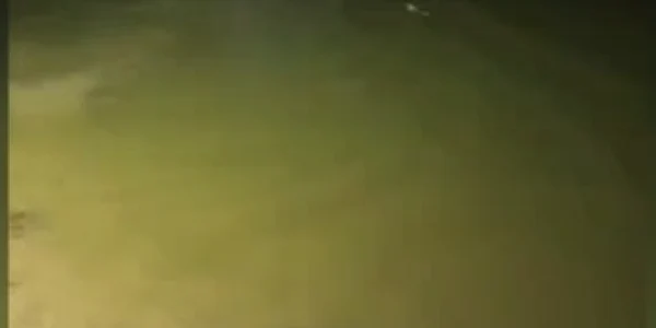 Bărbat de 41 de ani