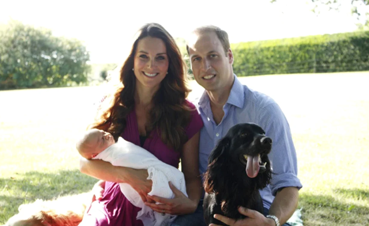 Kate William cocker png