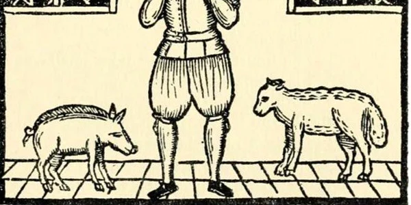 tarrare
