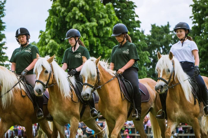 Karpatia Pony Show