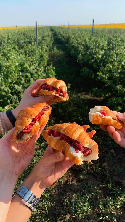 Au muncit, dar s-au ales și cu un desert cu... zmeură