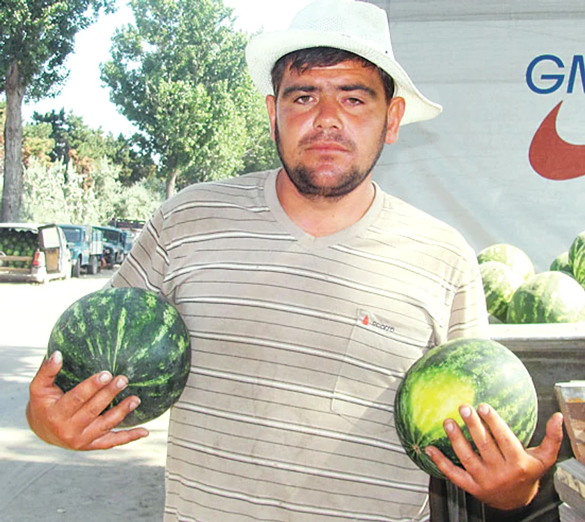 Producătorii spun că pepenii lor sunt şi mai dulci de când folosesc  seminţe “de afară”