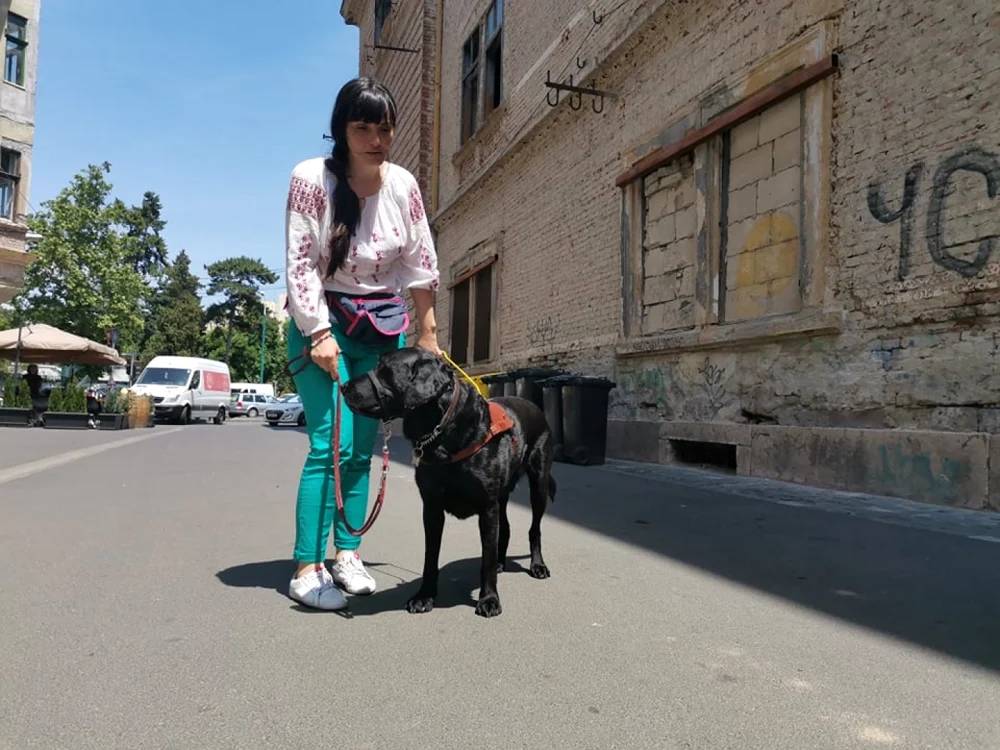 Câine ghid pentru nevăzători FOTO Ş.Both