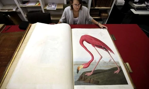 Cea mai scumpă carte din istorie, scoasă la licitaţie jpeg