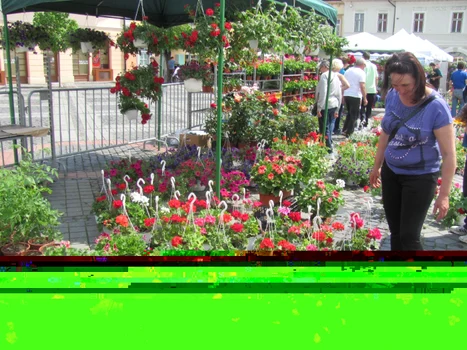 festivalul gradinilor 2014