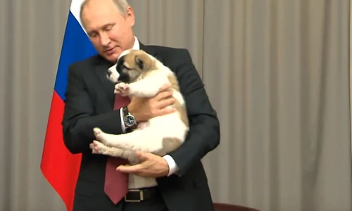 Vladimir Putin ciobanesc asiatic Turkmenistan jpeg