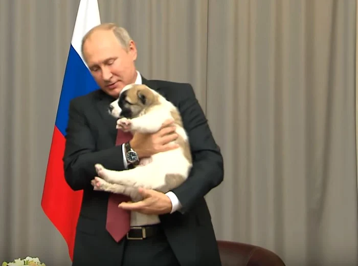 Vladimir Putin ciobanesc asiatic Turkmenistan jpeg