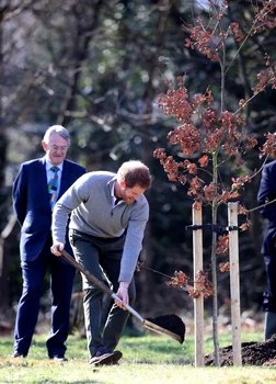 printul harry GettyImages 653493258 jpeg