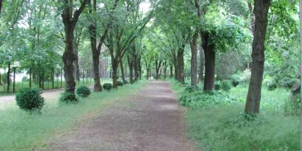 parcul iuliu hatieganu foto