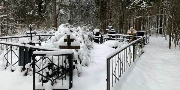 Cimitir în Rusia FOTO SHUTTERSTOCK