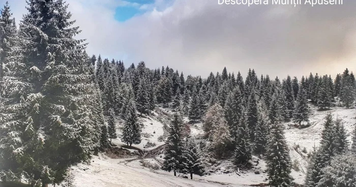 Prima zăpadă din acest an la Arieşeni