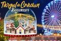 Banner Târg Crăciun