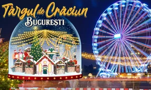 Banner Târg Crăciun
