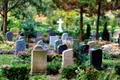 cimitir, foto shutterstock jpg