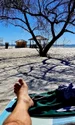 banner Mihai Traistariu