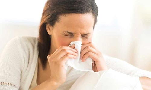 1 78065 original jpg jpeg