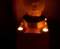 Earth Hour la Roşiorii de Vede