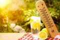 canicula   apa cu lamaie   termometru   shutterstock 302901386 jpg