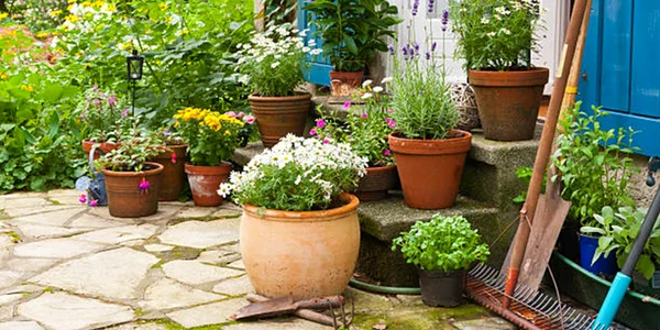 gradina curte flori istock jpg