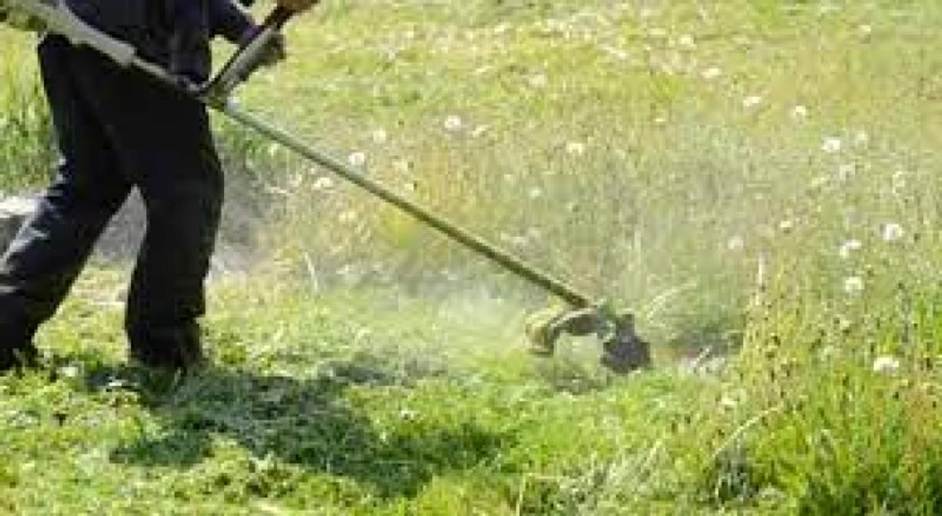 Un bărbat de 70 de ani s-a electrocutat în timp ce tundea gazonulFoto: stiri.botosani.ro