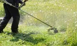 coasa electrica 0 jpeg