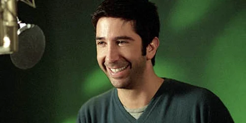 David Schwimmer 