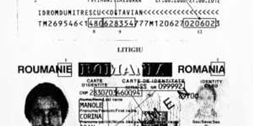 Cum te trimite Justiţia în pădure